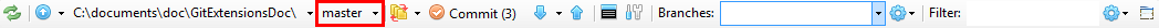 _images/branch_name.png